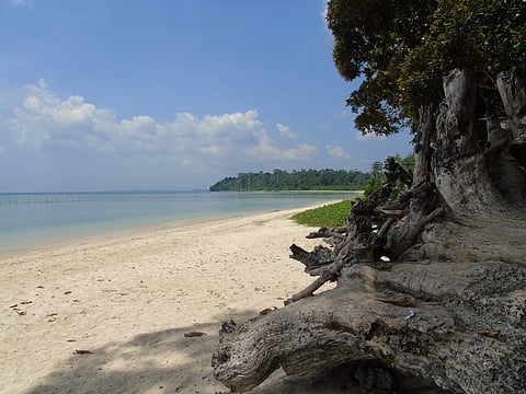 ഹെം  ഫ്രെഗഞ്ചിലെ രക്തസാക്ഷികള്‍: ആന്‍ഡമാന്‍ യാത്ര തുടരുന്നു