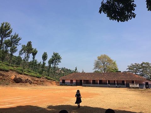 പുനര്‍ജനിയുടെ പുതിയ പാഠങ്ങള്‍: ലൈല സൈന്‍ എഴുതുന്നു