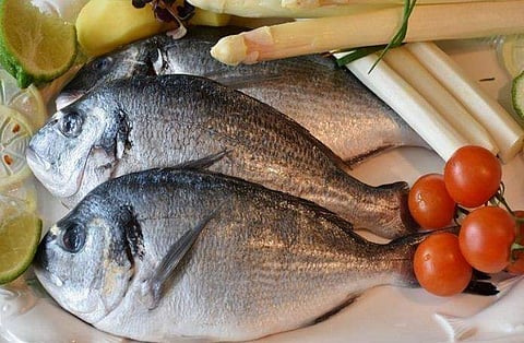 ആറ്റുമീനും മത്തിയും കഴിച്ച് തുടങ്ങാം, ആസ്ത്മയെ തുരത്താം; മത്സ്യം ഡയറ്റില്‍ ഉള്‍പ്പെടുത്തണമെന്ന് പഠന റിപ്പോര്‍ട്ട്