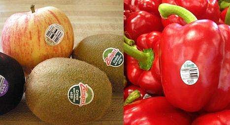 പഴവര്‍ഗങ്ങളില്‍ സ്റ്റിക്കറുകള്‍ വേണ്ട; ആരോഗ്യത്തെ ഹാനികരമായി ബാധിക്കുന്നു, കേട് മറയ്ക്കാനായി ഉപയോഗിക്കുന്നതായി കണ്ടെത്തല്‍