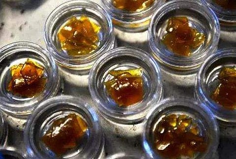 തിരുവനന്തപുരം വിമാനത്താവളത്തില്‍ വന്‍ മയക്കുമരുന്ന് വേട്ട; പിടികൂടിയത് 20 കോടി രൂപയുടെ ഹാഷിഷ് ഓയില്‍, രണ്ട് പേര്‍ അറസ്റ്റില്‍