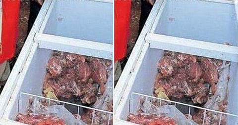 ക്രിസ്മസ്, പുതുവൽസര വിപണി ലക്ഷ്യമിട്ട് വൻതോതിൽ സുനാമി ഇറച്ചിയെത്തുന്നു ? ; 250 കിലോ ഇറച്ചി പിടികൂടി