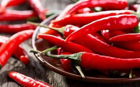 ഗുണ്ടൂരിലെ മുളകില്‍ ക്യാന്‍സര്‍ ഉണ്ടാക്കുന്ന രാസവസ്തുക്കളുടെ അംശം കണ്ടെത്തി ; കയറ്റുമതി തടസ്സപ്പെട്ടേക്കും