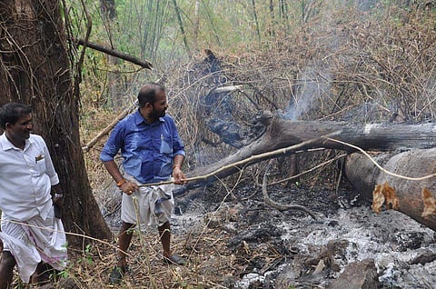 കാട്ടുതീയണയ്ക്കാന്‍ ചുള്ളിക്കമ്പുമായി ബിജെപി നേതാവ്; പരിഹാസവുമായി സോഷ്യല്‍ മീഡിയ