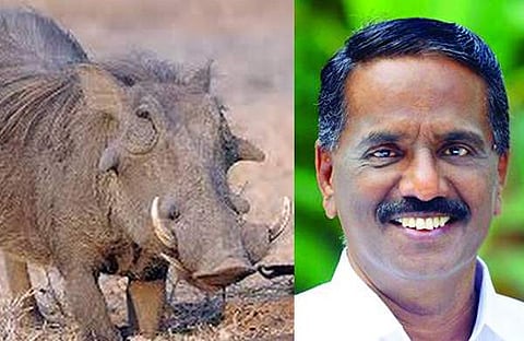 മൃഗങ്ങളെ കറിവച്ച് കഴിച്ചതിന് വനംവകുപ്പ് ഉദ്യോഗസ്ഥര്‍ തല്ലിയാല്‍ തിരിച്ചു തല്ലണം: സിപിഎം എംഎല്‍എ