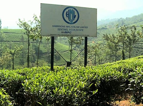 ഹാരിസണ്‍ കേസില്‍ സര്‍ക്കാരിന് തിരിച്ചടി ; ഭൂമി ഏറ്റെടുക്കല്‍ നിര്‍ത്തിവെക്കാന്‍ ഹൈക്കോടതി ഉത്തരവ്