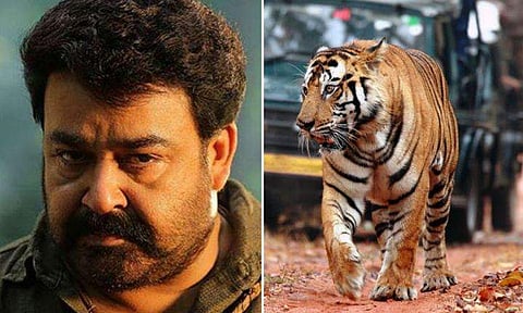 'തോക്കിന്റെ പാത്തികൊണ്ട് അയാള്‍ കടുവയെ അടിച്ചു കൊന്നു'; പുലിമുരുകന്‍ സിനിമയ്ക്ക് പ്രചോദനമായ അജ്ഞാത വേട്ടക്കാരനെക്കുറിച്ച്