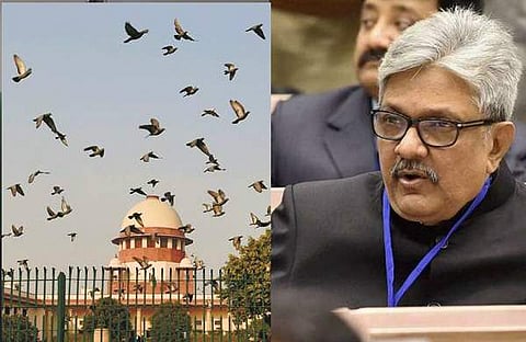 കെ എം ജോസഫിന്റെ നിയമനം : കേന്ദ്രത്തിനെതിരെ ബാര്‍ അസോസിയേഷന്‍  നിയമപോരാട്ടത്തിന് ;  സ്‌റ്റേ ഇല്ലെന്ന് സുപ്രീംകോടതി