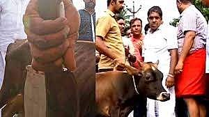 റിജുല്‍ മാക്കൂറ്റിയെ യൂത്ത് കോണ്‍ഗ്രസില്‍ തിരിച്ചെടുത്തു