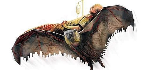 ഗ്രാഫിക്‌സ്: ന്യൂ ഇന്ത്യന്‍ എക്‌സ്പ്രസ്‌