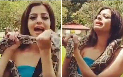 ധൈര്യം കാണിക്കാന്‍ പാമ്പിനെ എടുത്തു തോളില്‍ വെച്ചു; പിന്നെ വേദികയ്ക്ക് സംഭവിച്ചത്; വീഡിയോ കാണാം