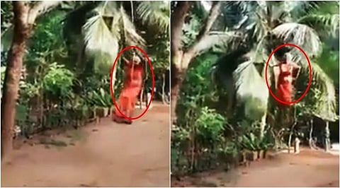 ഈ അമ്മാമ ഭീകരിയാണ്, ഊഞ്ഞാലാട്ടം പൊളിയാണ്; സെവാഗിന്റെകണ്ണില്‍പ്പെട്ടതോടെ വൈറലായി അമ്മാമ