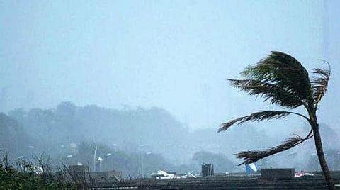 സംസ്ഥാനത്ത് കനത്ത മഴ; തെങ്ങ് വീണ് വീട്ടമ്മ മരിച്ചു