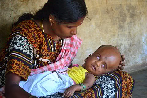 മാന്തോപ്പുകളിലെ വിഷമരണങ്ങള്‍