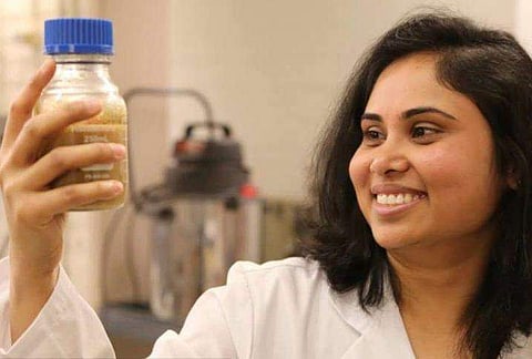 ഇനി മലിന ജലം ശുദ്ധമാക്കാന്‍ സ്‌പോഞ്ചുമതി; പുതിയ കണ്ടെത്തലുമായി ഇന്ത്യന്‍ ഗവേഷക