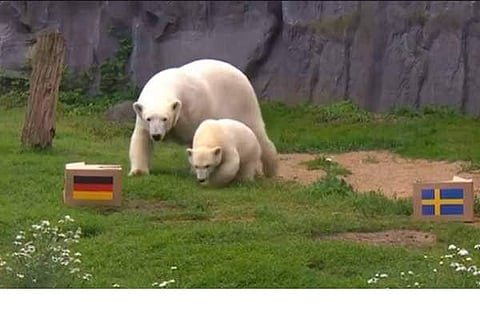 അമ്മ ലാറയ്‌ക്കൊപ്പം ജര്‍മന്‍ വിജയം പ്രവചിച്ച് നാനക്; ആരാധകര്‍ക്ക് ആശ്വാസം; കളത്തില്‍ കാണുമോ?