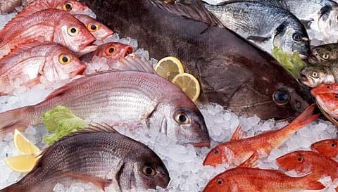 ഫോര്‍മാലിനിലിട്ട മീന്‍ പിടികൂടി; ആര്യങ്കാവില്‍ പിടിച്ചെടുത്തത് 9500 കിലോ മത്സ്യം