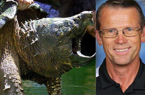 വിദ്യാര്‍ഥികളുടെ മുന്‍പില്‍ വെച്ച് അസുഖം ബാധിച്ച നായ്ക്കുട്ടിയെ ആമയ്ക്ക് തീറ്റയായി നല്‍കി; അധ്യാപകനെതിരെ കേസ് 