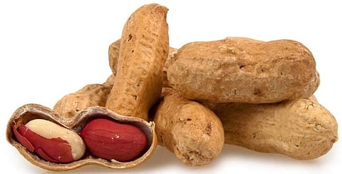 കൊളസ്‌ട്രോളില്‍ നിന്ന് മുക്തി നേടണോ..! ധാരാളം നിലക്കടല കഴിച്ചോളൂ