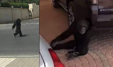 ആശങ്കയും കൗതുകവും; റിയാദിലെ ജനവാസ മേഖലയിൽ ചിമ്പാൻസി ഇറങ്ങി