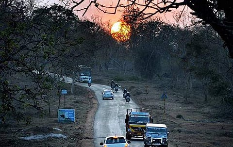 കേരളത്തിന് തിരിച്ചടി: ബന്ദിപ്പൂര്‍ കടുവാ സങ്കേതത്തിലൂടെയുള്ള രാത്രിയാത്രാ നിരോധനം തുടരും