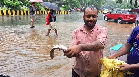 പുഴയില്‍ വലിയ മീനുകളുടെ ചാകര, ആശങ്ക തീര്‍ത്ത് പിരാന; കടലില്‍ മത്സ്യോല്‍പാദനം വര്‍ധിക്കും