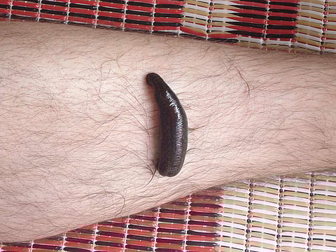 പ്രതീകാത്മക ചിത്രം