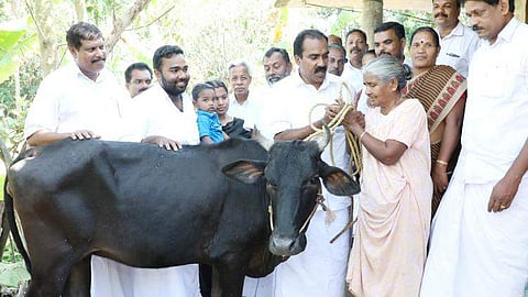 'മോനേ' എന്ന വിളിക്ക് ഫലമുണ്ടായി; സര്‍വവും നഷ്ടപ്പെട്ട മേരിക്ക് രാഹുല്‍ നല്‍കിയ ഉറപ്പ് പാലിച്ചു, രണ്ടു വയസുളള മുന്തിയ ഇനം പശുവിനെ കൈമാറി 