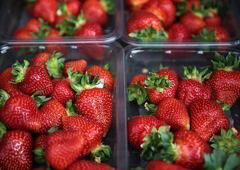 സ്‌ട്രോബറിക്കുള്ളില്‍ നിന്ന് കിട്ടുന്നത് സൂചിയും പിന്നുകളും; പരിഭ്രാന്തിക്കിടയില്‍ സൂചിക്ക് നിരോധനം ഏര്‍പ്പെടുത്തി സൂപ്പര്‍മാര്‍ക്കറ്റ്