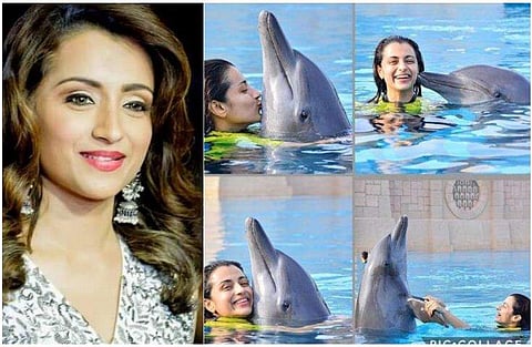 അവധിയാഘോഷങ്ങള്‍ക്കിടെ ഡോള്‍ഫിനെ കെട്ടിപ്പിടിച്ചും ചുംബിച്ചും ചിത്രങ്ങള്‍; തൃഷയ്‌ക്കെതിരെ വിമര്‍ശന പെരുമഴ 