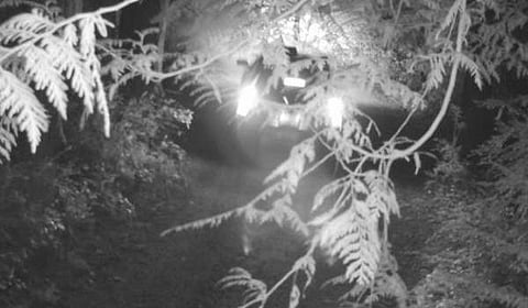 ക്യാമറ വെച്ചത് പുലികളെ കണ്ടെത്താൻ ; പതിഞ്ഞത് വേട്ടക്കാർ