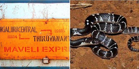 കൊച്ചുവേളിയിൽ നിന്ന് മം​ഗളൂരു വഴി ചെന്നൈയിലേക്ക് ; ഇറങ്ങാൻ മറന്ന 'യാത്രക്കാരനെ' ജീവനക്കാർ പിടികൂടി തല്ലിക്കൊന്നു