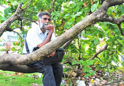 മരം മുറിക്കുന്നെങ്കില്‍ തന്റെ തലയിലൂടെ മുറിച്ചിടട്ടെ; കളക്ടറോട് പോയി പരാതി പറയെന്ന് അധികൃതര്‍; അവസാനം സംഭവിച്ചത് ഇങ്ങനെ