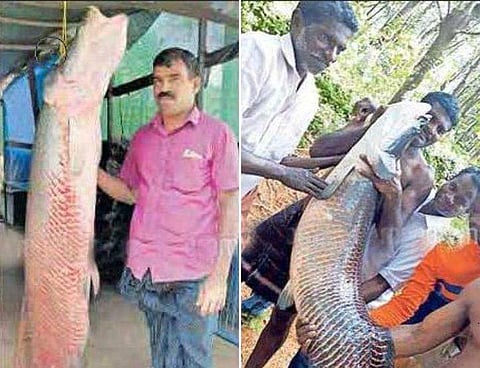 ഫോട്ടോ കടപ്പാട് മലയാള മനോരമ