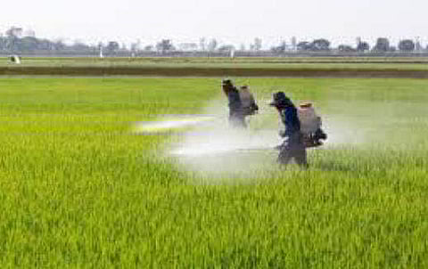 പ്രതീകാത്മക ചിത്രം