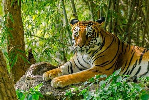 പ്രതീകാത്മക ചിത്രം