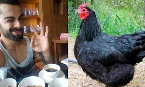 ഗ്രില്‍ഡ് ചിക്കനല്ല, കരിങ്കോഴിയാണ് കോഹ് ലി കഴിക്കേണ്ടത്; ഇന്ത്യന്‍ നായകന് മെനുവുമായി കൃഷി വകുപ്പ്