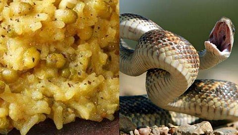 പ്രതീകാത്മക ചിത്രം