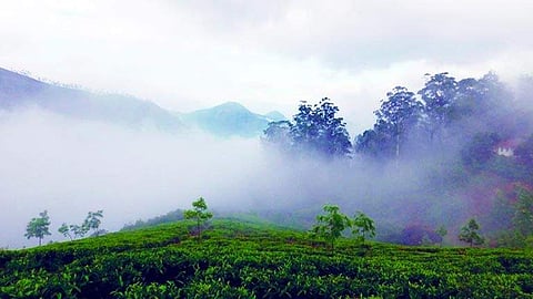 മൂന്നാറിലും വയനാട്ടിലും ശീതതരംഗം?; കേരളത്തില്‍ അനുഭവപ്പെടുന്നത് 30 വര്‍ഷത്തെ ഏറ്റവും വലിയ തണുപ്പ്; പുനലൂരില്‍ 16.2 ഡിഗ്രി, കാരണമറിയാതെ ശാസ്ത്രലോകം