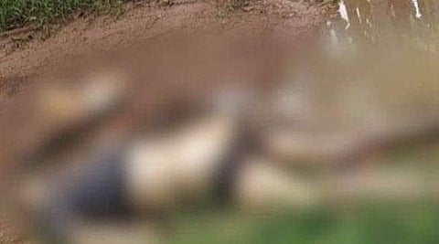 കോഴിക്കോട് എന്‍ഐടിക്ക് സമീപം അജ്ഞാത മൃതദേഹം; ദുരൂഹത