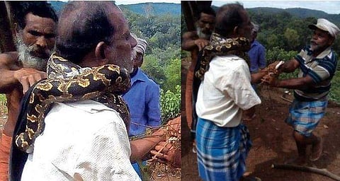 തൊഴിലുറപ്പ് ജോലിക്കിടെ തൊഴിലാളിയുടെ കഴുത്തില്‍ പെരുമ്പാമ്പ് ചുറ്റി ; ആദ്യം പകച്ച് സഹതൊഴിലാളികള്‍... ; അത്ഭുതകരമായ രക്ഷപ്പെടല്‍