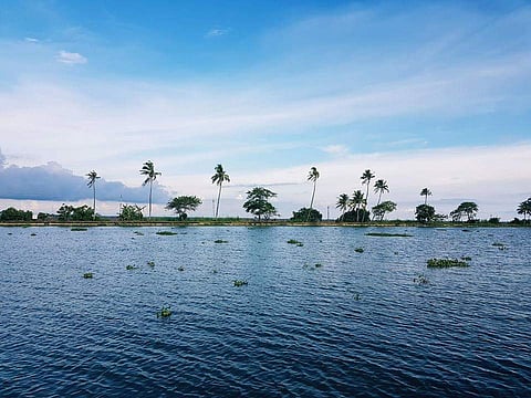 2 പതിറ്റാണ്ടിനുള്ളില്‍ വേമ്പനാട്ടു കായല്‍ ചതുപ്പ് നിലമാവും; ഞെട്ടിക്കുന്ന വിവരങ്ങളുമായി വീണ്ടും പഠന റിപ്പോര്‍ട്ട്‌
