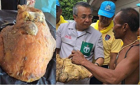 തിമിംഗലം ഛർദിച്ച സ്രവത്തിന് വില 2.26 കോടി;  ഭാഗ്യദേവത തുണച്ചതറിയാതെ മത്സ്യതൊഴിലാളി പണിയെടുത്തത് 1000 രൂപ ദിവസക്കൂലിയ്ക്ക് 