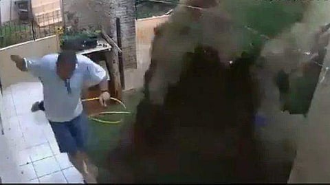 ചെറുപ്രാണികളെ കൊല്ലാന്‍ പൂന്തോട്ടത്തില്‍ സ്‌ഫോടനം; എന്നിട്ടും തോല്‍വി സമ്മതിക്കേണ്ടി വന്ന ഭര്‍ത്താവ്‌