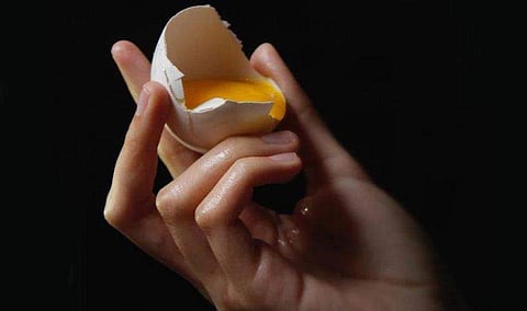 ഭര്‍ത്താവ് കഴിക്കാന്‍ മുട്ട നല്‍കിയില്ല; ഭാര്യ കാമുകനൊപ്പം ഒളിച്ചോടി