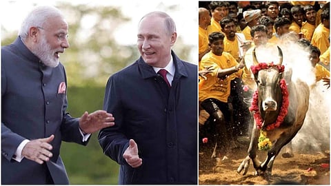 ജല്ലിക്കെട്ട് കാണാന്‍ പുട്ടിനെത്തും; ഒപ്പം മോദിയും