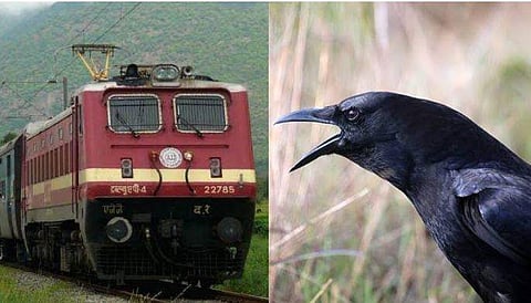 കാക്കയിടിച്ച് എന്‍ജിന്‍ തകരാറിലായി; മാവേലി എക്‌സ്പ്രസ് ഒന്നരമണിക്കൂര്‍ വൈകി