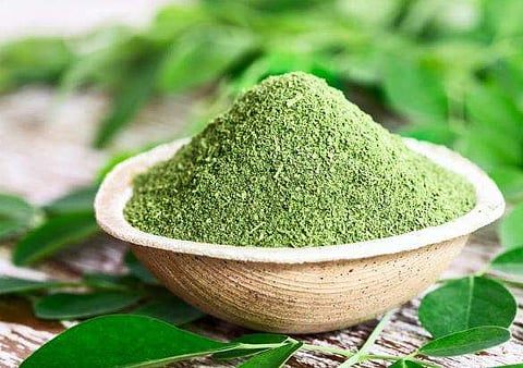 മുരിങ്ങയില കഴിച്ചാല്‍ വണ്ണം കുറയുമോ? മുടിവളര്‍ച്ചയും ചര്‍മ്മകാന്തിയും മാത്രമല്ല ഗുണങ്ങളേറെ 