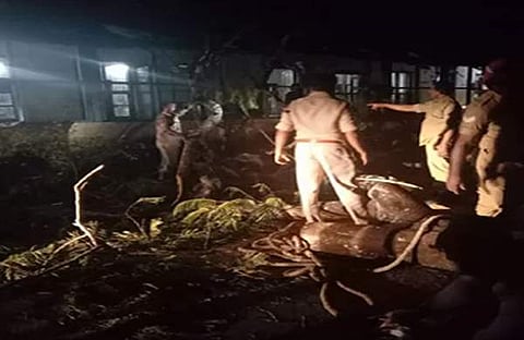 കനത്ത മഴ: കോട്ടയത്ത് ജനറല്‍ ആശുപത്രിക്ക് മുകളില്‍ മരം വീണു;  മൂന്നുപേര്‍ക്ക് പരിക്ക്