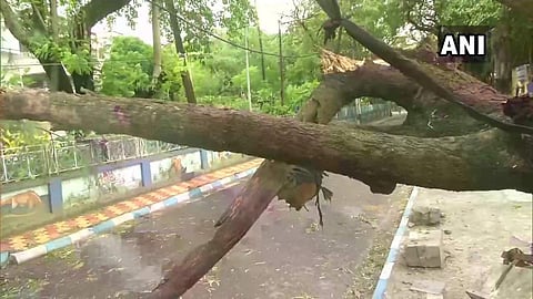 നാശംവിതച്ച് ബുള്‍ബുള്‍; മരണം ഏഴായി, ബാധിച്ചത് മൂന്നുലക്ഷത്തോളം പേരെ; 12 മണിക്കൂറിനുളളില്‍ ദുര്‍ബലപ്പെടുമെന്ന് പ്രവചനം (വീഡിയോ)